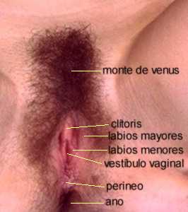 cuentito pornografico[porno](se te para) (mmm....que vagina)